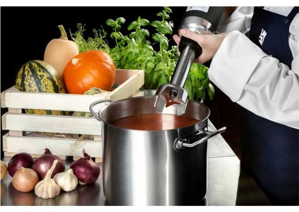 Galingas maišytuvas maišytuvas rankinis roboto rankos ilgis 250mm 350W 230V Royal Catering
