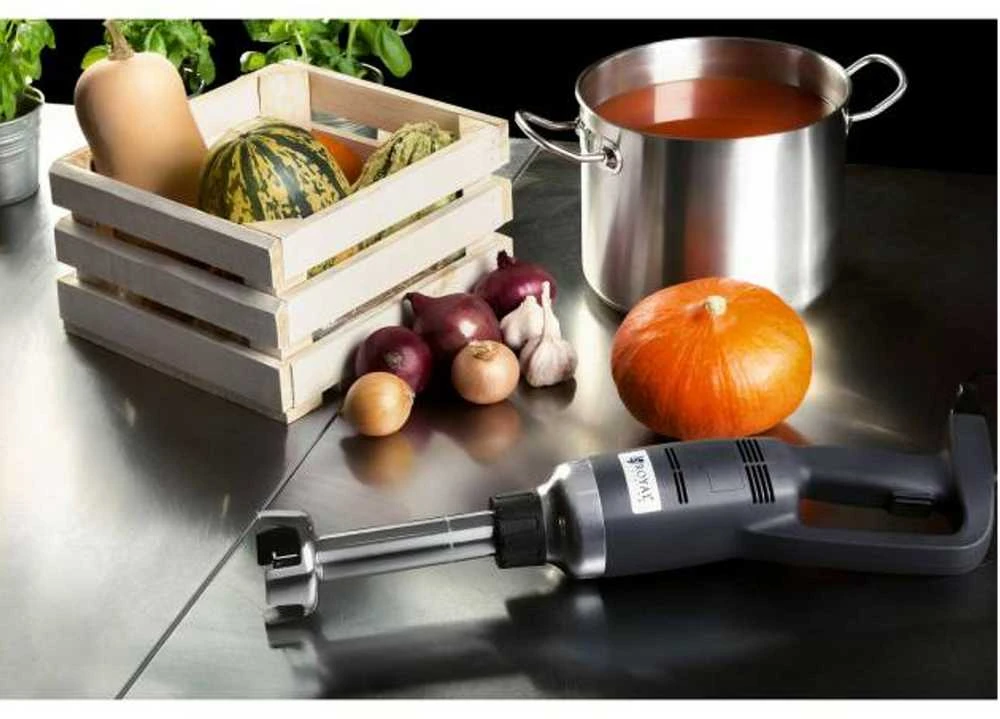 Galingas maišytuvas maišytuvas rankinis roboto rankos ilgis 250mm 350W 230V Royal Catering