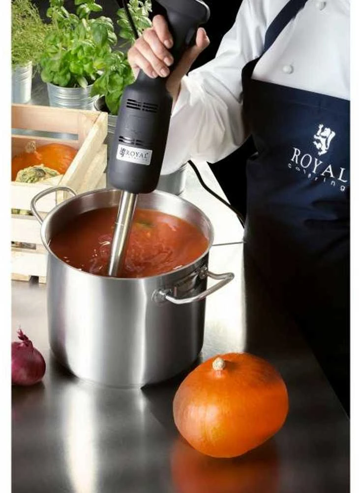 Galingas maišytuvas maišytuvas rankinis robotas, rankos ilgis 400mm 500W 230V Royal Catering