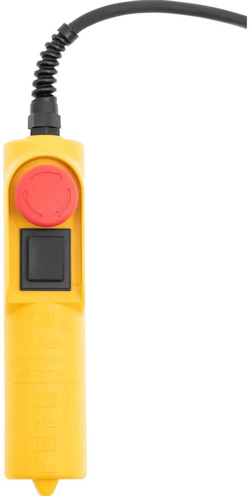 MSW elektrinis su pultu dviračių keltuvas iki 100 kg 3 m