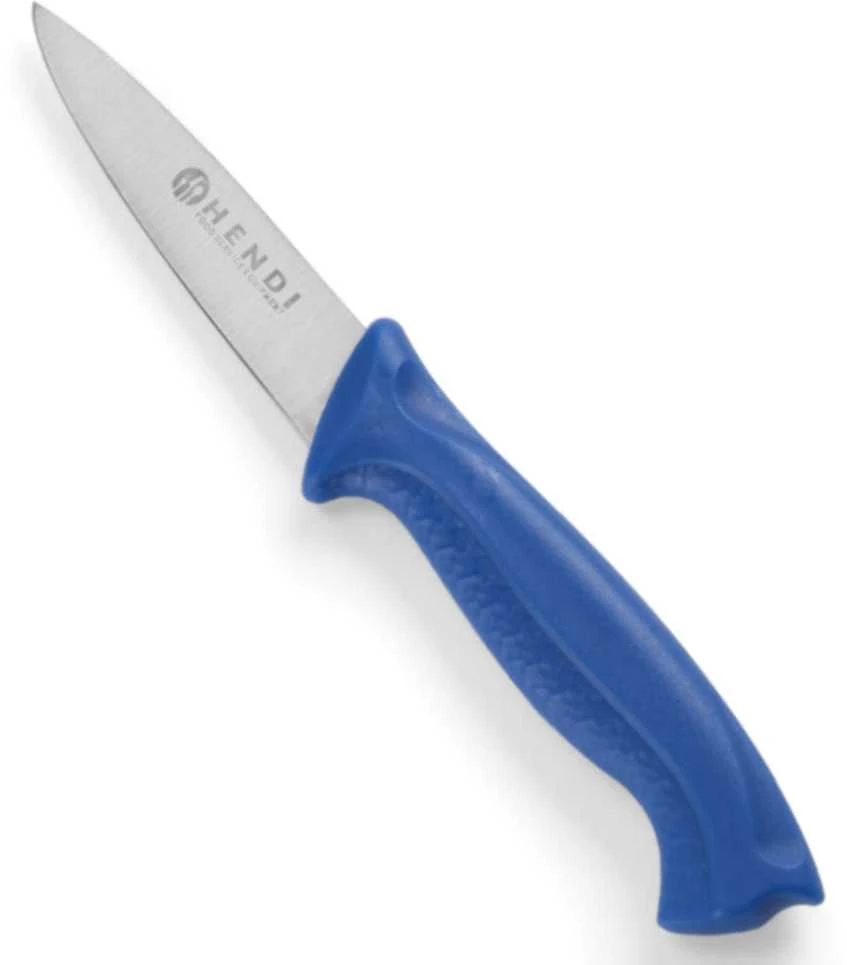 HACCP lupimo peiliai 6 vnt 90mm - Hendi 842010