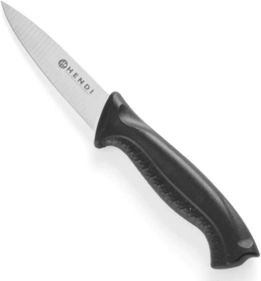 HACCP lupimo peiliai 6 vnt 90mm - Hendi 842010