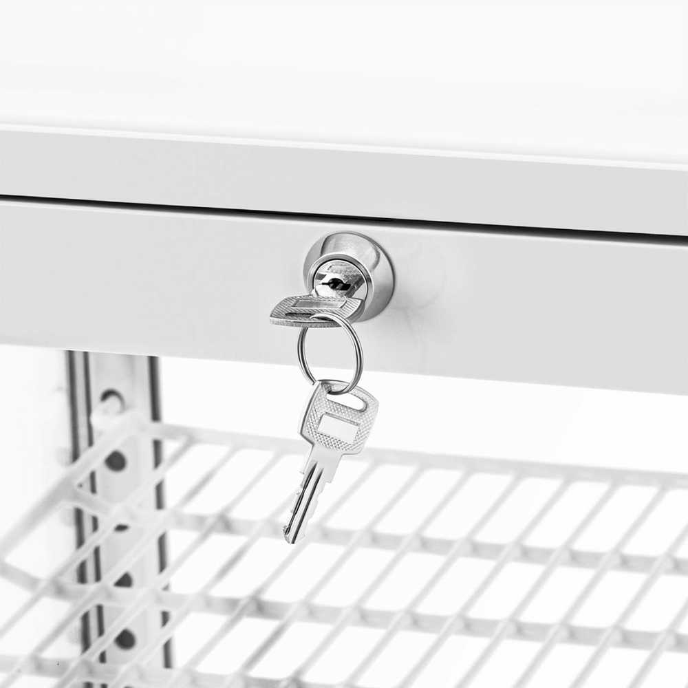 Šaldytuvas Royal Catering Šaldytuvo vitrina, stiklinė, 4 lygių, 78 l - balta