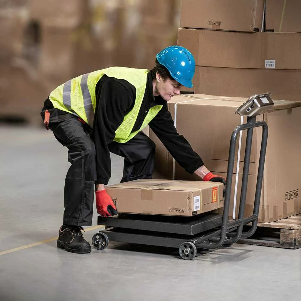 Steinberg Systems Pramoninės platforminės svarstyklės ant ratų 600 kg / 100 g LCD