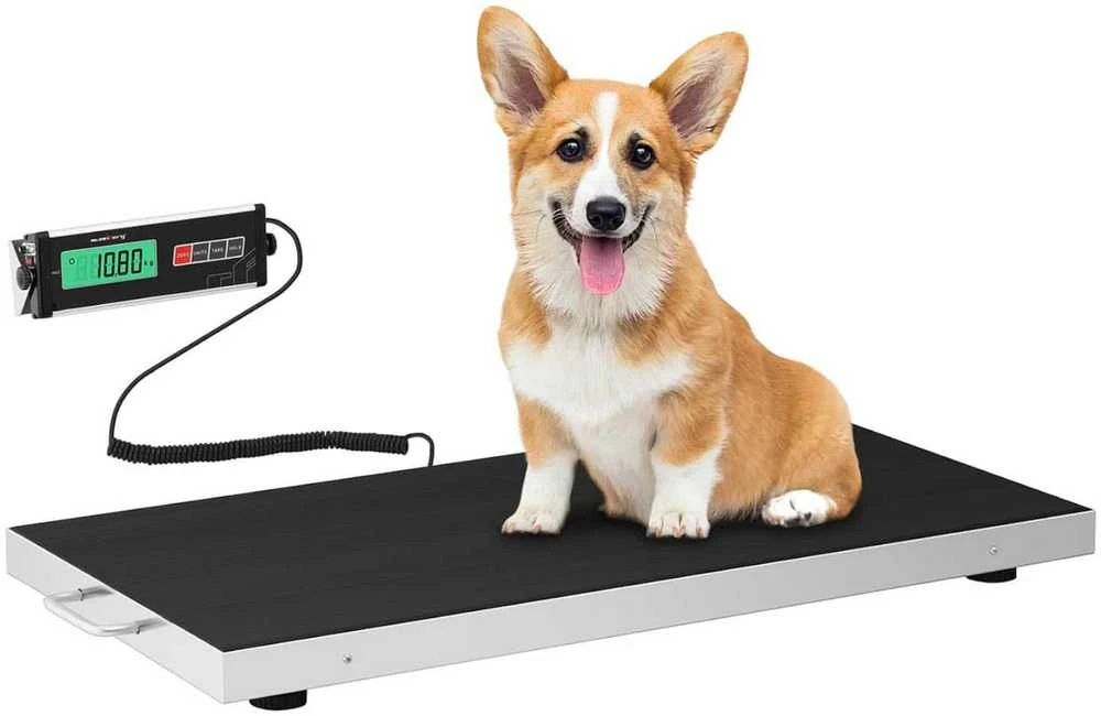 Steinberg Systems Veterinarinės platforminės svarstyklės 95x50cm gyvūnams 150kg / 50g