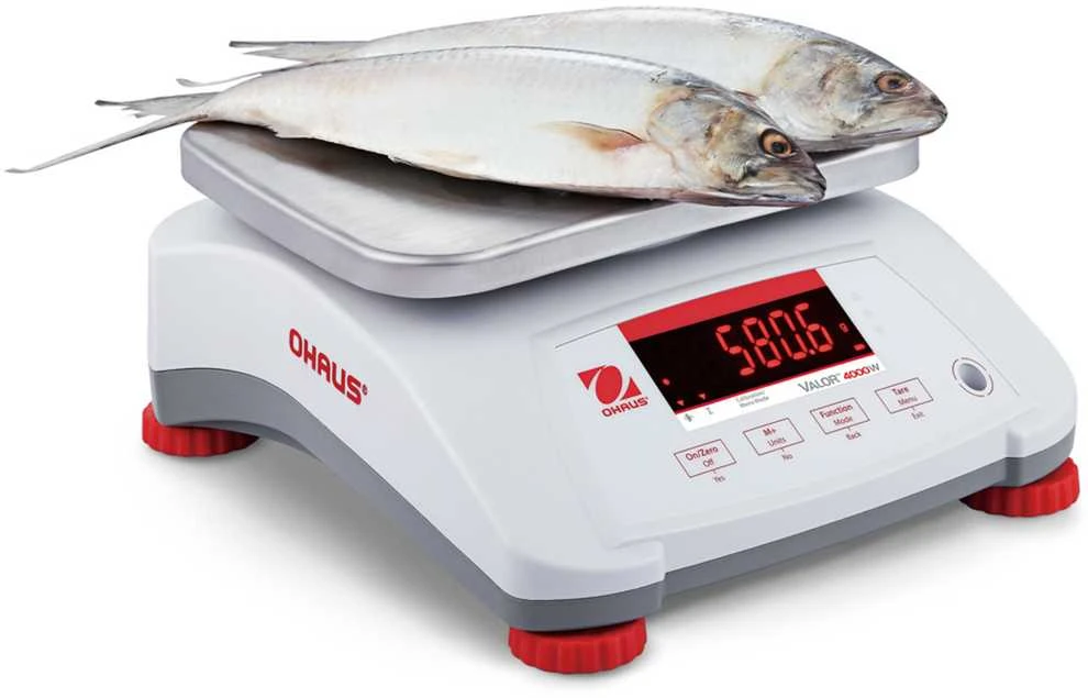 Virtuvinės svarstyklės VALOR 4000 svarstyklės su legalizavimu virtuvei, maitinimui, vandeniui IP68 LED 3Kg / 1g - OHAUS V41PWE3T-M