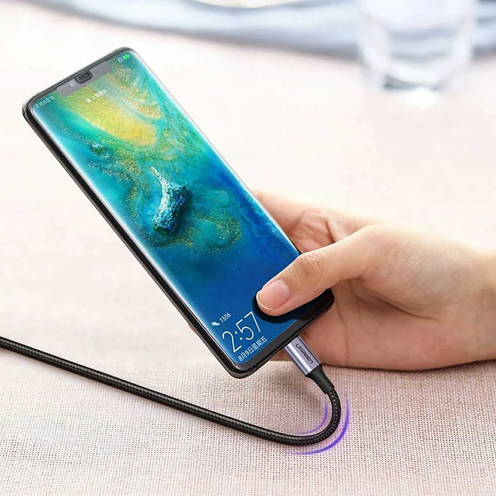 UGREEN US316 USB C - USB C laidas 100W 1.5m