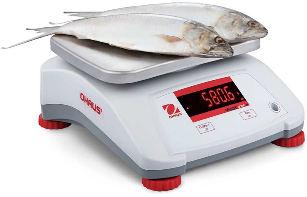 Virtuvinės svarstyklės, atsparios vandeniui IP68 VALOR 2000 30kg / 5kg - OHAUS V22PWE30T