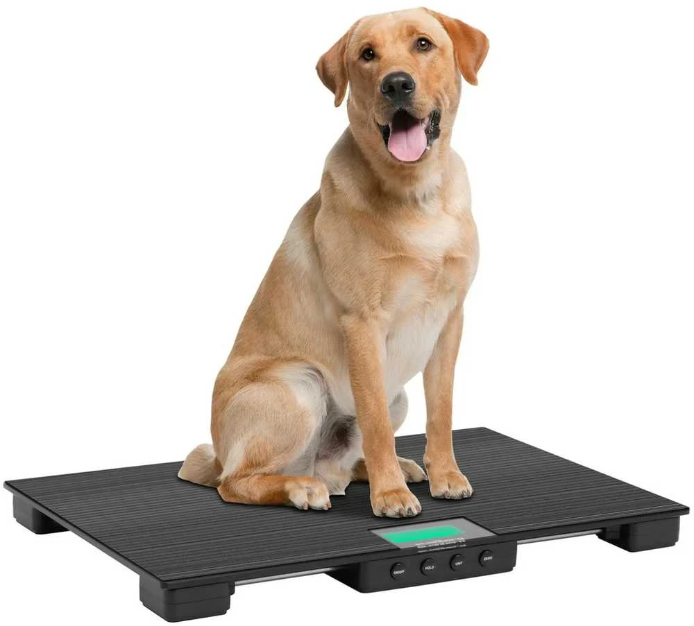 Steinberg Systems Svarstyklės platformowa weterynaryjna augintiniams 63 x 40 cm 30 kg / 10 g