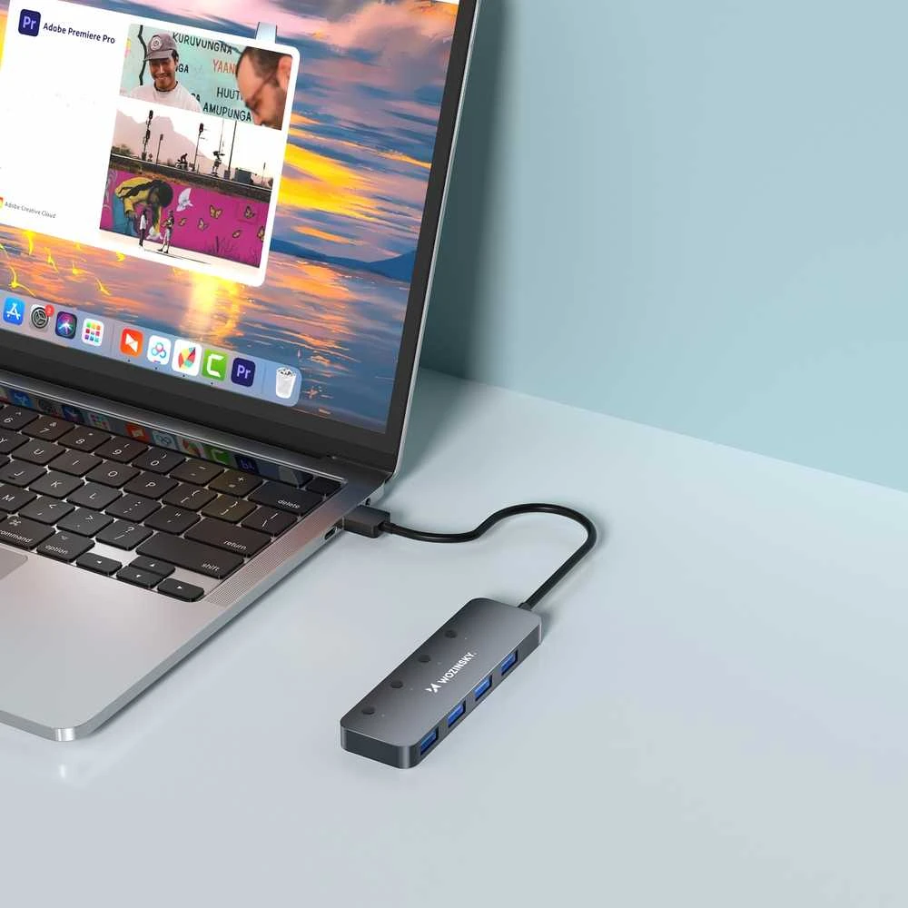 USB-A šakotuvas Wozinsky WHS080YSS 4 x USB-A 3.0 su atskirais jungikliais, aliuminis, su 30 cm laidu · pilka