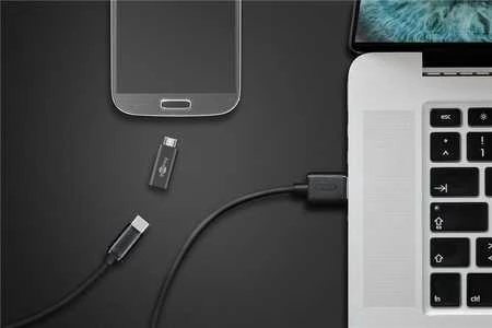 Wentronic Adapterio USB-C lizdas, microUSB 2.0 kištukas Goobay BLK