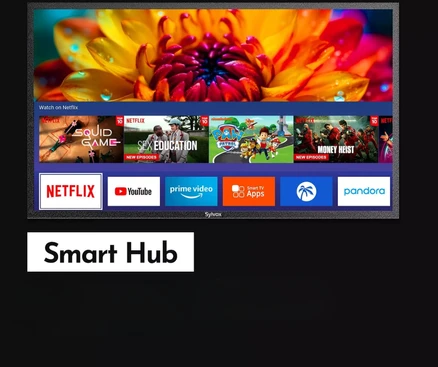 Televizorius Sylvox Kontech 24/7 SYLVOX 55" 4K IP66 2000 nitų išorinis ekranas