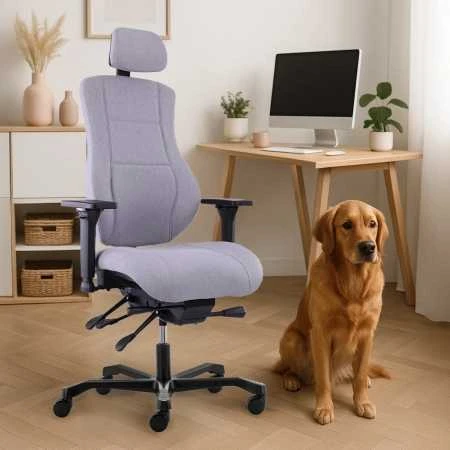 Ergonomiška biuro kėdė su galvos atrama