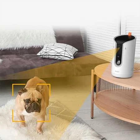 IP kameros skanėstų dozatorius Arenti Petcam Wi-Fi 5G 3MP 2K