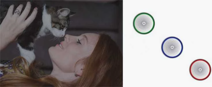 Maxkin Conch-D signalizacija su DWS-303 detektoriumi