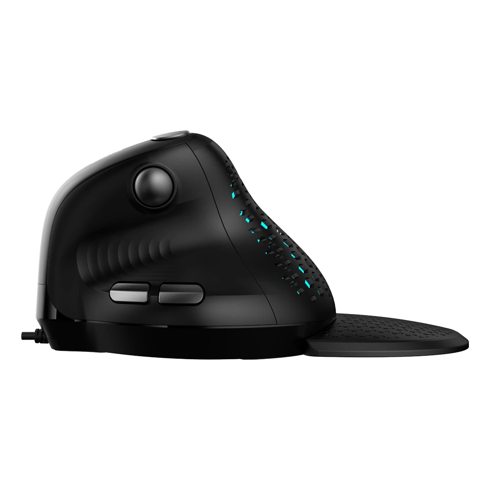 Belaidė ergonominė pelė Delux M618XSD BT+2.4G RGB
