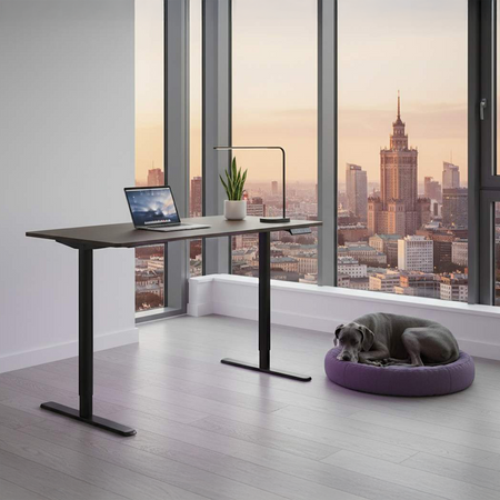 Elektrinis rašomasis stalas Spacetronik Moris 121BT, 120 × 60 cm