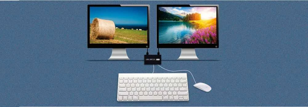 Spacetronik Jungiklis KVM USB 2/4 SPU-24PS