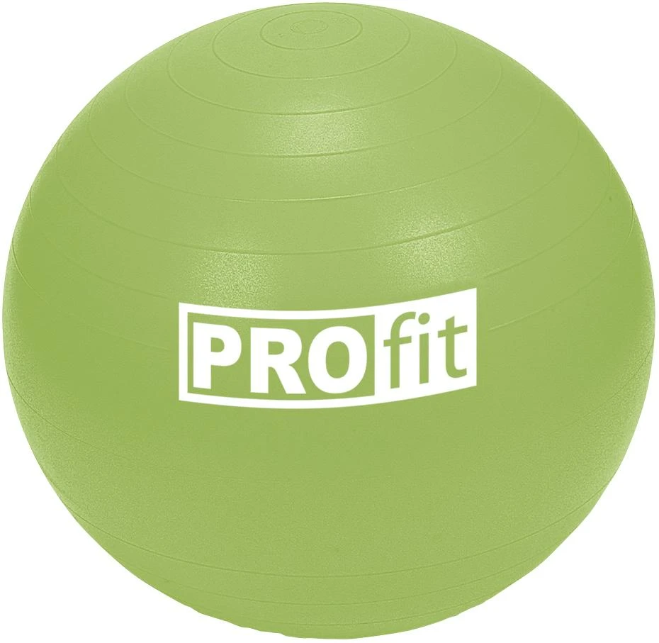 Gimnastikos kamuolys PROFIT 55cm su pompa