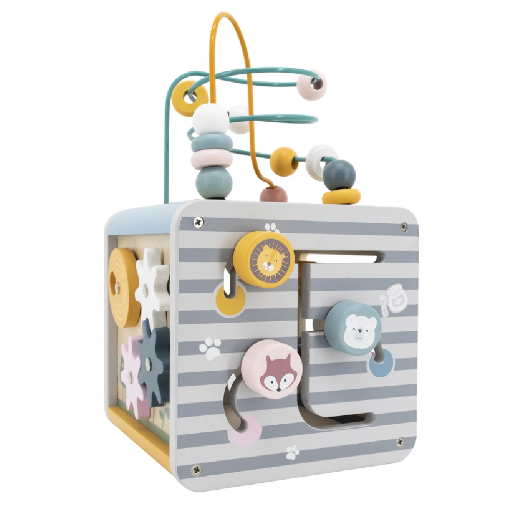 Viga Toys Lavinantis Medinis Žaislas VIGA Polar 5w1