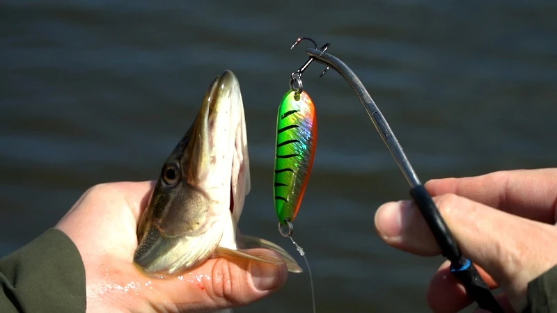 Blizgė Golden Catch Niobi Max 17 g aprašymas - Prekės nuotrauka