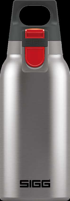 Termo puodelis SIGG Hot & Šaltas VIENAS AKCENTAS, 0,3 L | šukuotas