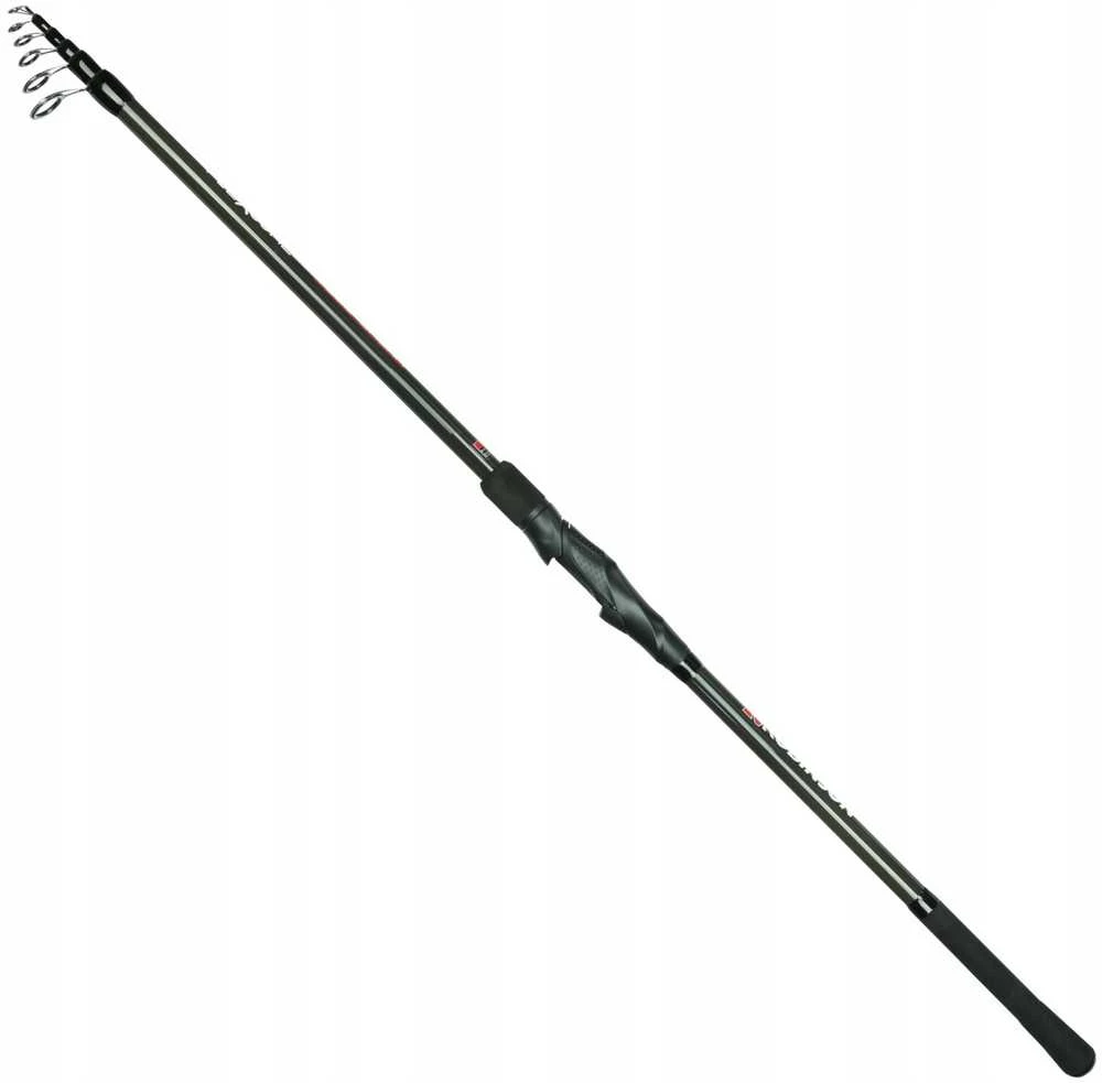Meškerė Robinson Flexcore Tele Roach 3,00 m/ 3,30/ 3,60 m, 10-30 g