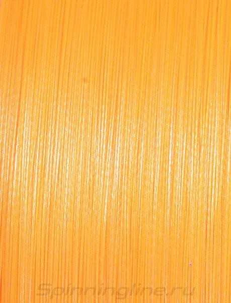 Pintas valas Dragon HM8x Forte 135m Oranžinis Fluo