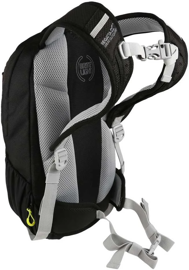 Regatta Kuprinė Britedale 20L | Juoda