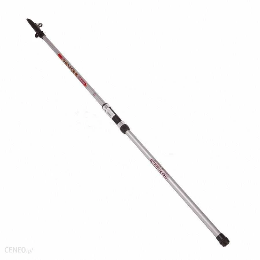 ROBINSON Mešketė teleskopinė GoodFish Cortina Tele Float 3,00 m, 10-20 g