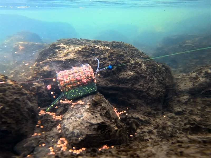 Šėryklėlė su pavadėliu Delphin RiverSTIX, 100-170 g