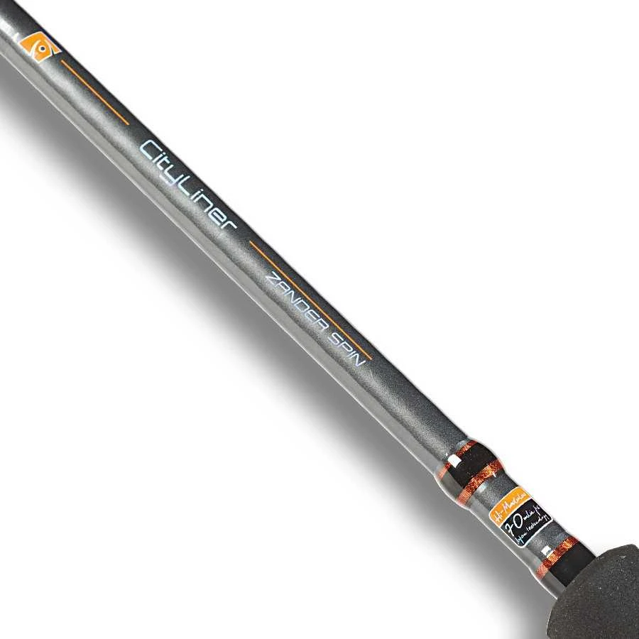 Spiningas ROBINSON CityLiner Trout Spin 2,55m 3-18g