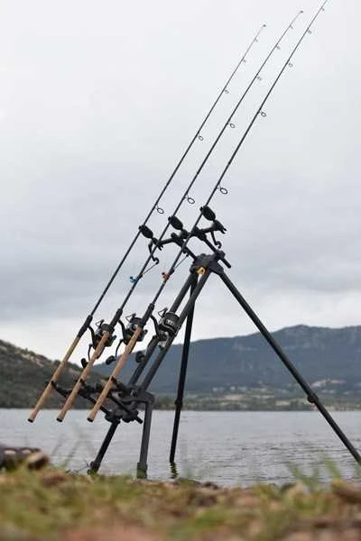 Stovas karpinėms meškerėms Prowess STARPOD PRCEH3007