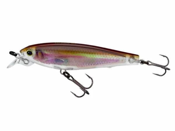 Vobleris Yo-Zuri 3DR Minnow R1309 10cm 17g