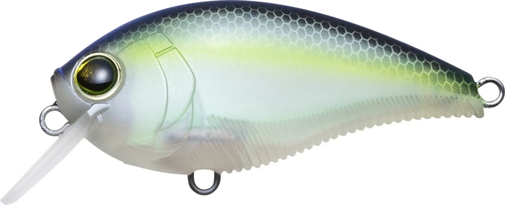 Yo-Zuri 3DB 1.5 Squarebill vobleris 14g / 60 mm | (1~1.5m)