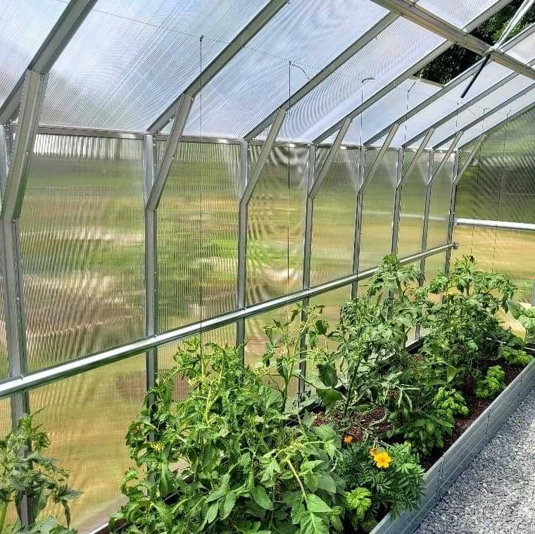 KLASIKA Lietuva Augalų parišimo komplektas 6m.ilgio šiltnamiui