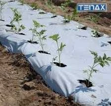 Tenax Plėvelė mulčiui Juodas&amp;Baltas