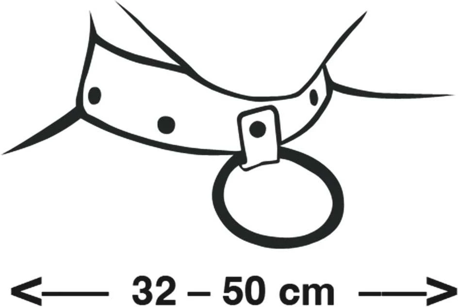 Wild Collar apykaklės dydžių schema