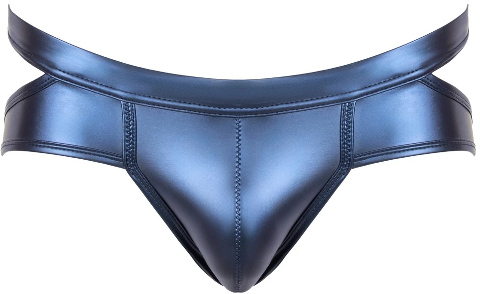 Briefs