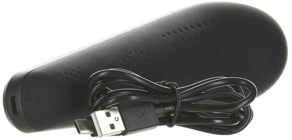 Palm Power PalmPower - Extreme Wand Massager Juodas