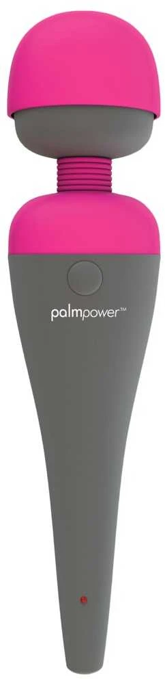 Palm Power PalmPower Massager