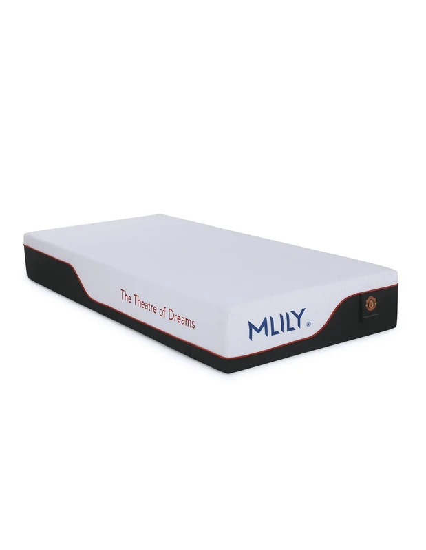 Mlily Čiužinys SUPREME 90X200X27CM