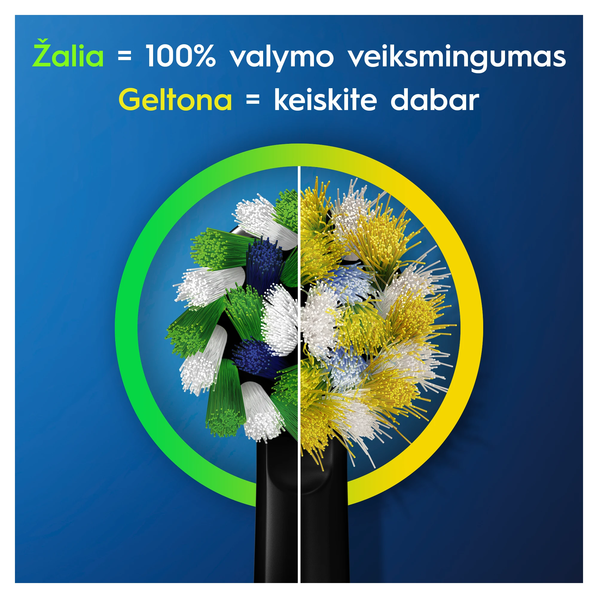 Elektrinis dantų šepetėlis Oral-B D103.413.3 Vitality Pro aprašymas - Prekės nuotrauka