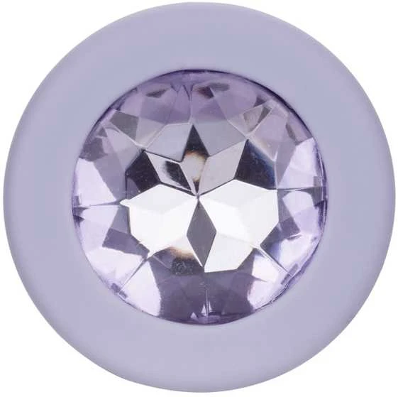 Calexotics Crystal Booty Kit Violetinė
