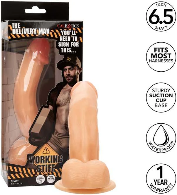 Calexotics Kaleksotika „Working Stiff The Delivery Man“