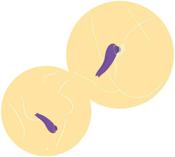Xocoon SalsaTap Sensation Stimulator Violetinė