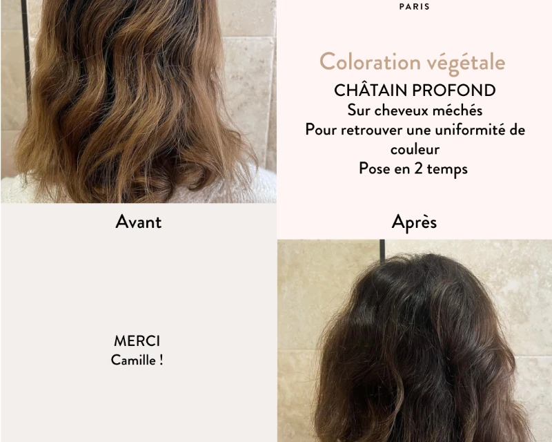 Ekologiški plaukų dažai Chestnut Brown