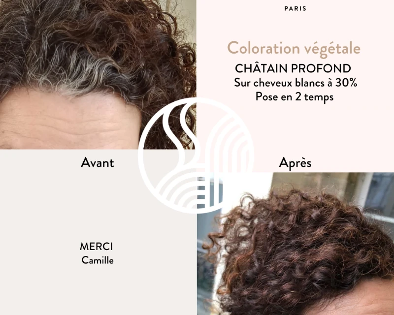 Ekologiški plaukų dažai Chestnut Brown