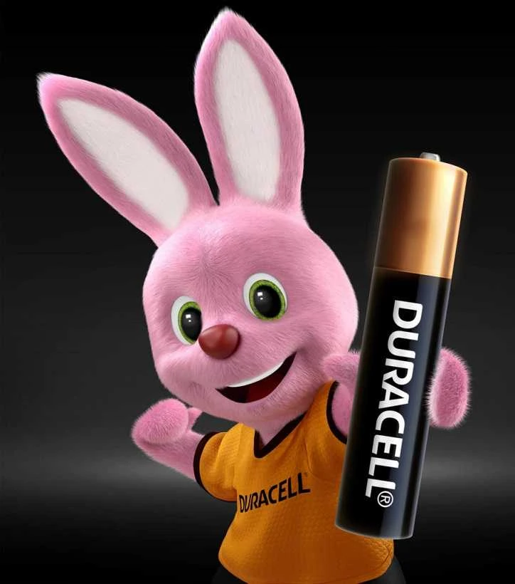 Duracell 5000394203389 buitinė baterija Vienkartinė baterija AAA Šarminis