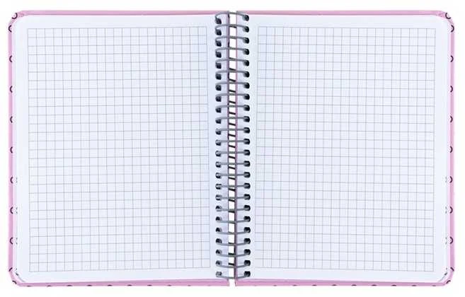 Bloknotas AXENT, B6+, langeliais, 120 lapų, 80gsm, su spirale šone, rožinės sp.